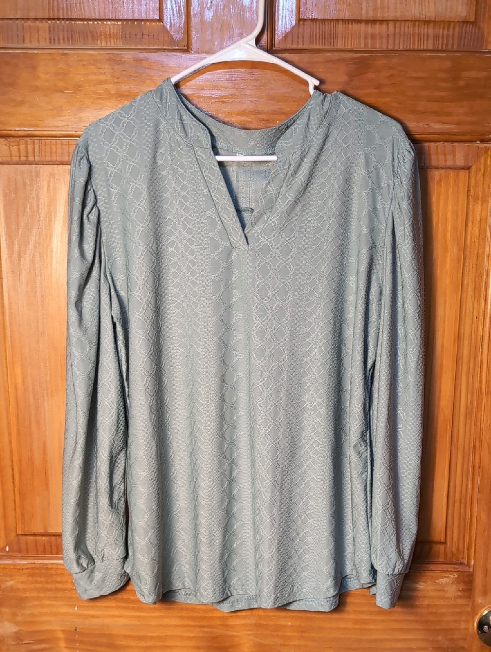 Textured Long Sleeve V-Neck Blouse in Sage Green